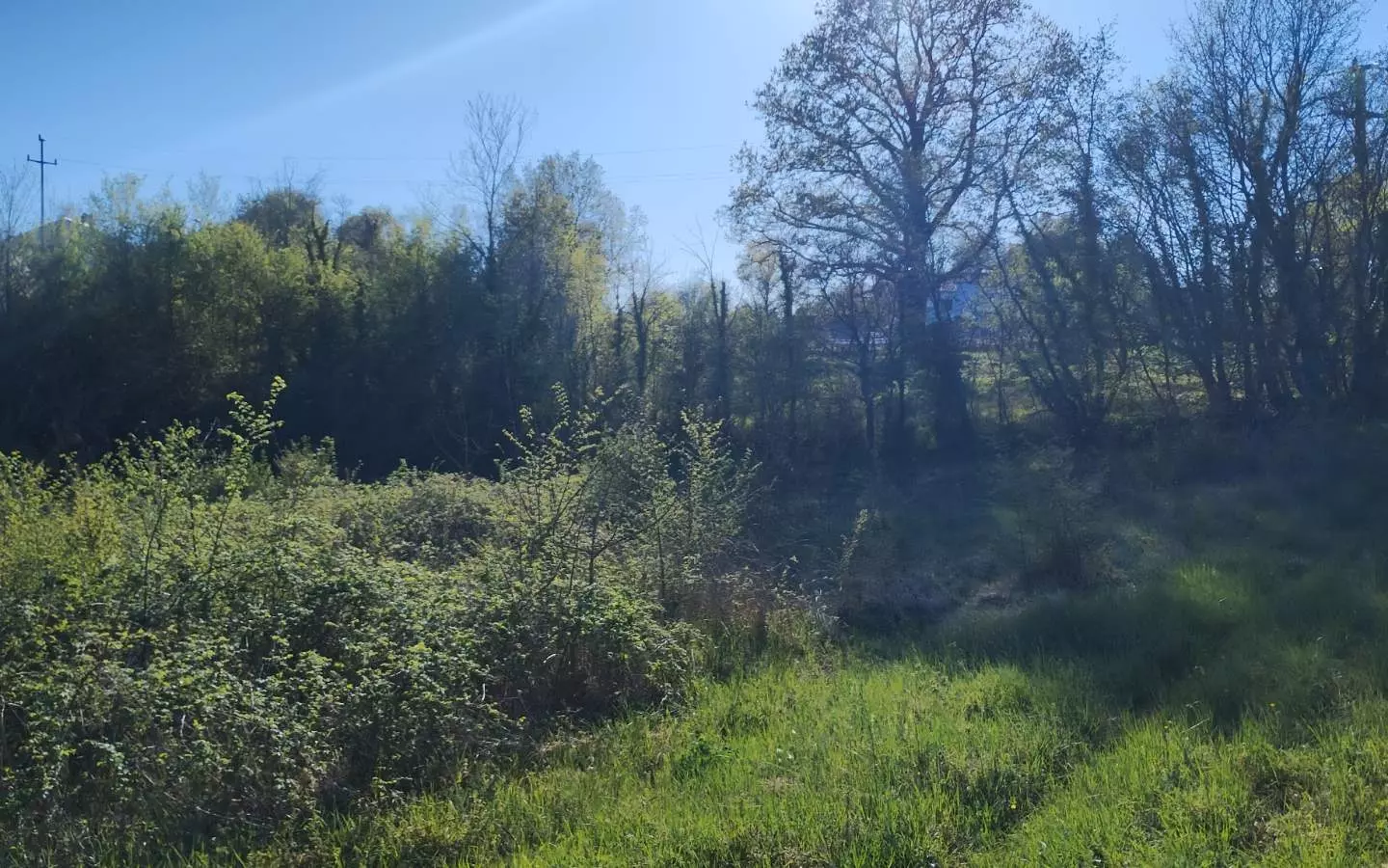 Land In Rakotule, Croatia (1.172 M²)