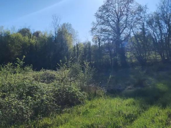 Land In Rakotule, Croatia (1.172 M²)
