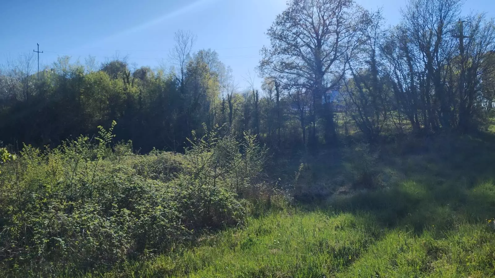 Land In Rakotule, Croatia (1.172 M²)