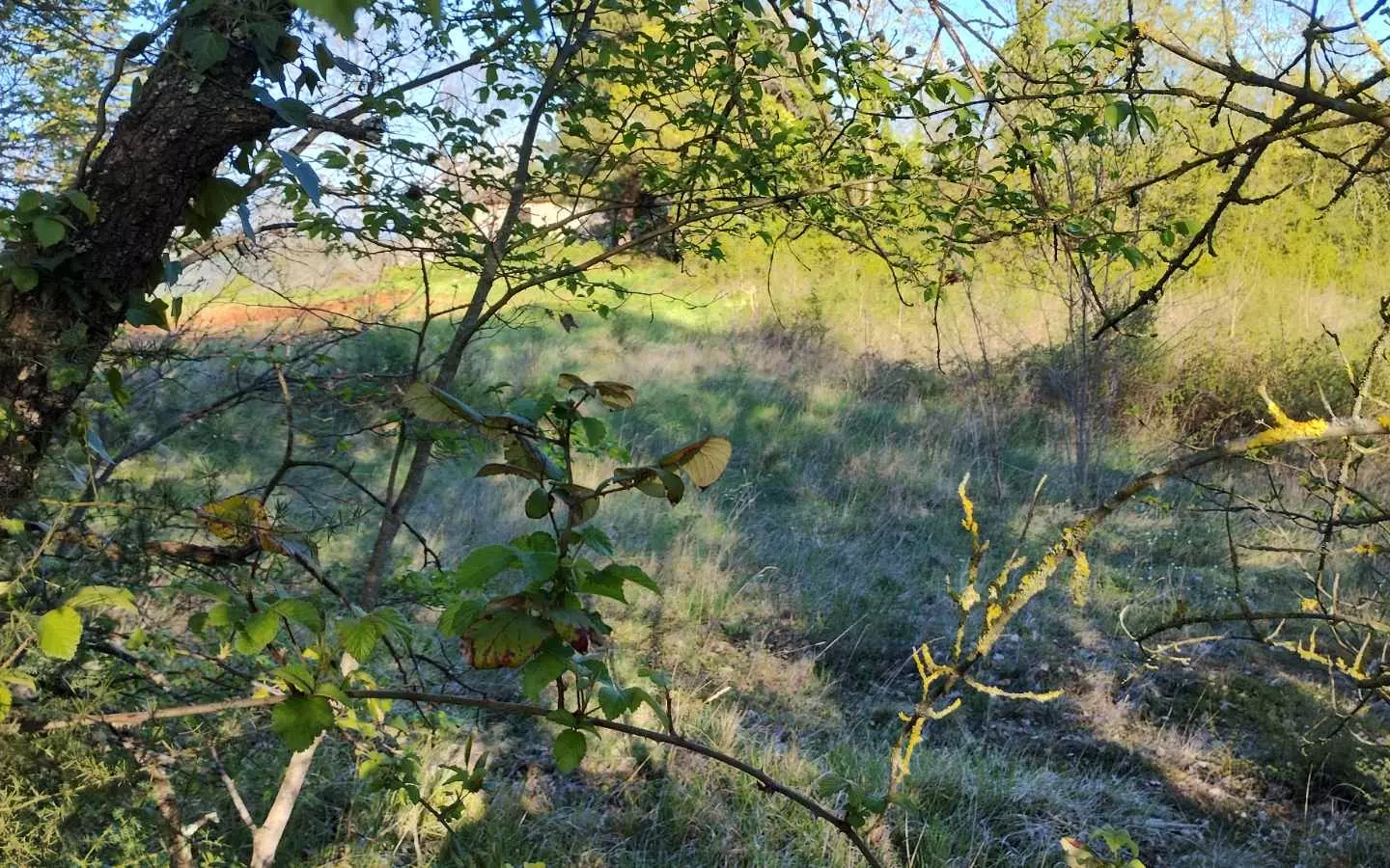 Land In Rakotule, Croatia (1.172 M²)