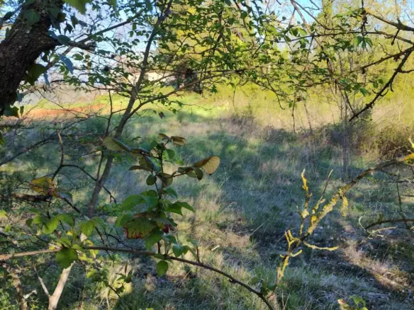 Land In Rakotule, Croatia (1.172 M²)