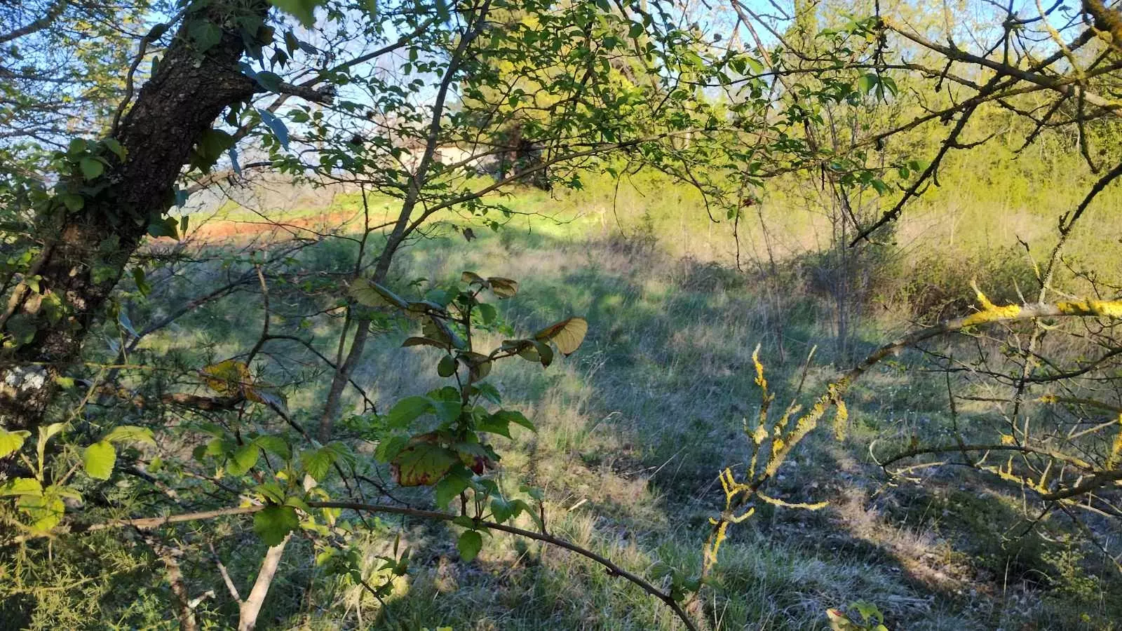 Land In Rakotule, Croatia (1.172 M²)