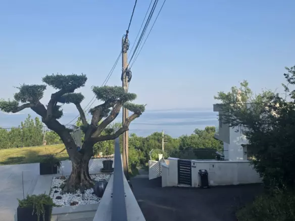 5-bedroom Villa In Poljane, Croatia (400 M²)