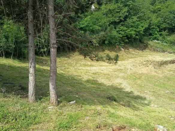 Land In Dobreć, Croatia (1.415 M²)