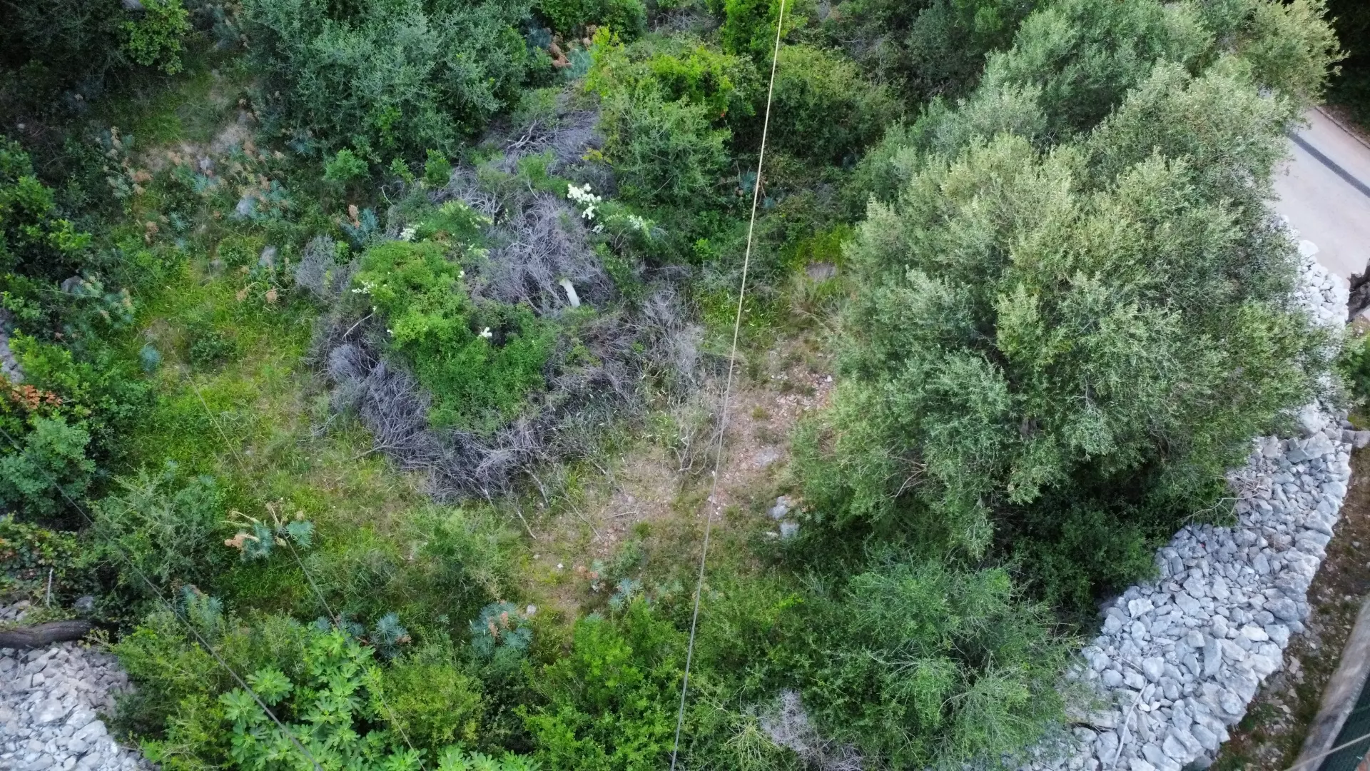 Land In Lun, Croatia (622 M²)