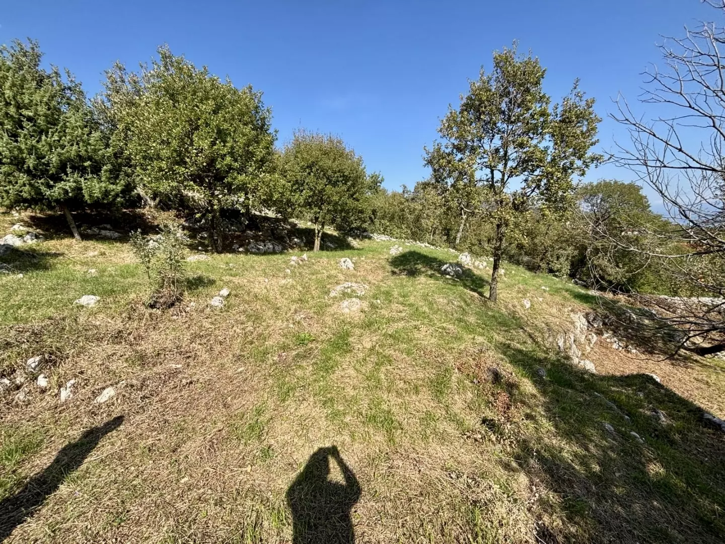 original_1781613409_01df3367-0cf6-4705-982d-15942cc9e434-db61a4 Land In Martina, Croatia (934 M²)