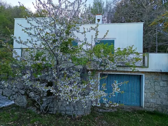 1-bedroom Detached House In Bregi, Croatia (130 M²)