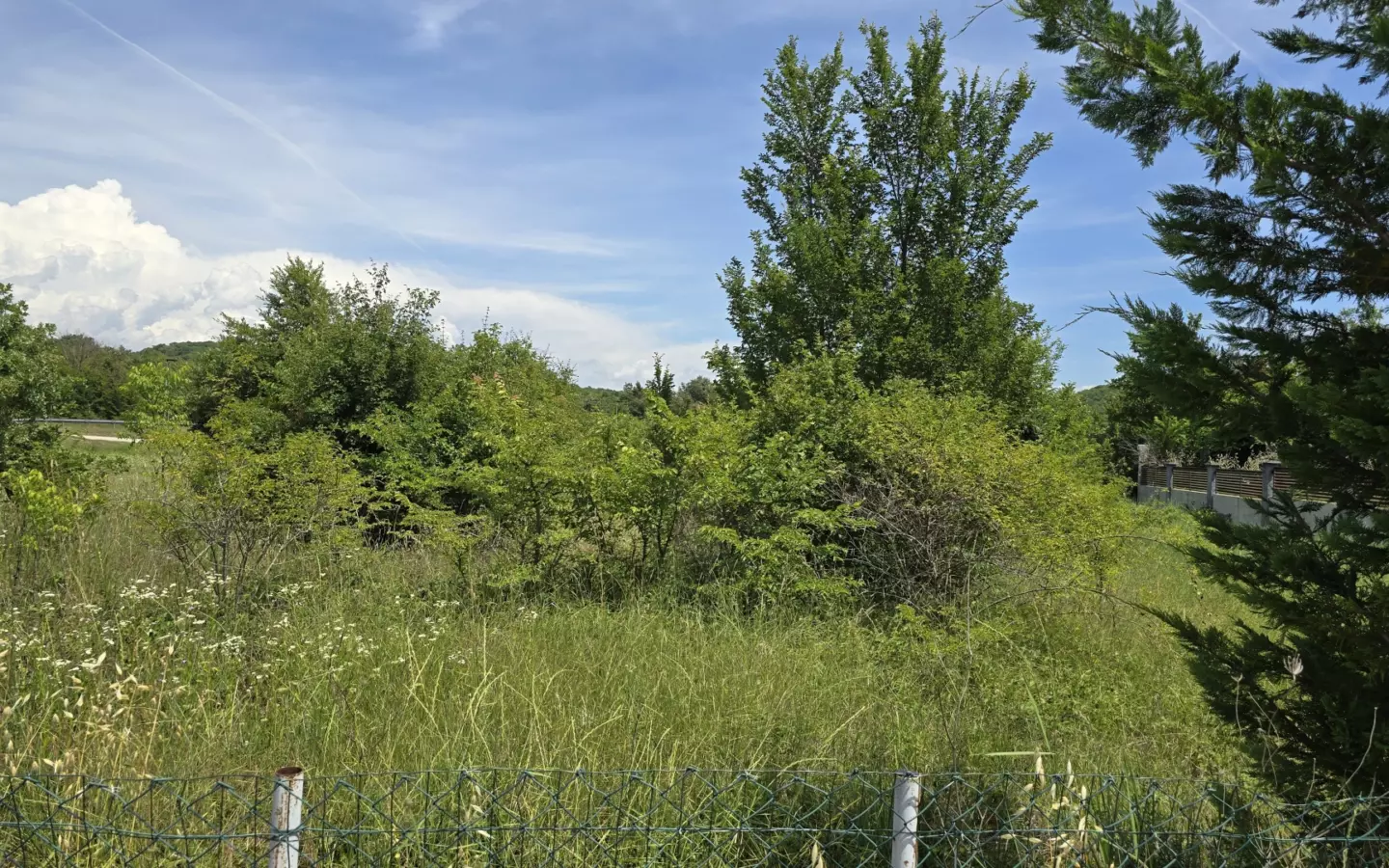 Land In Rovinjsko Selo, Croatia (1.340 M²)