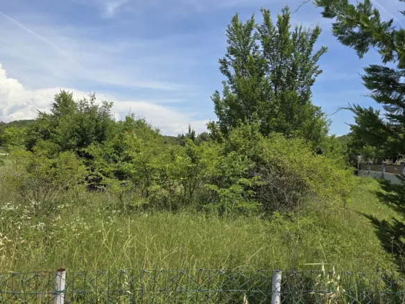 Land In Rovinjsko Selo, Croatia (1.340 M²)