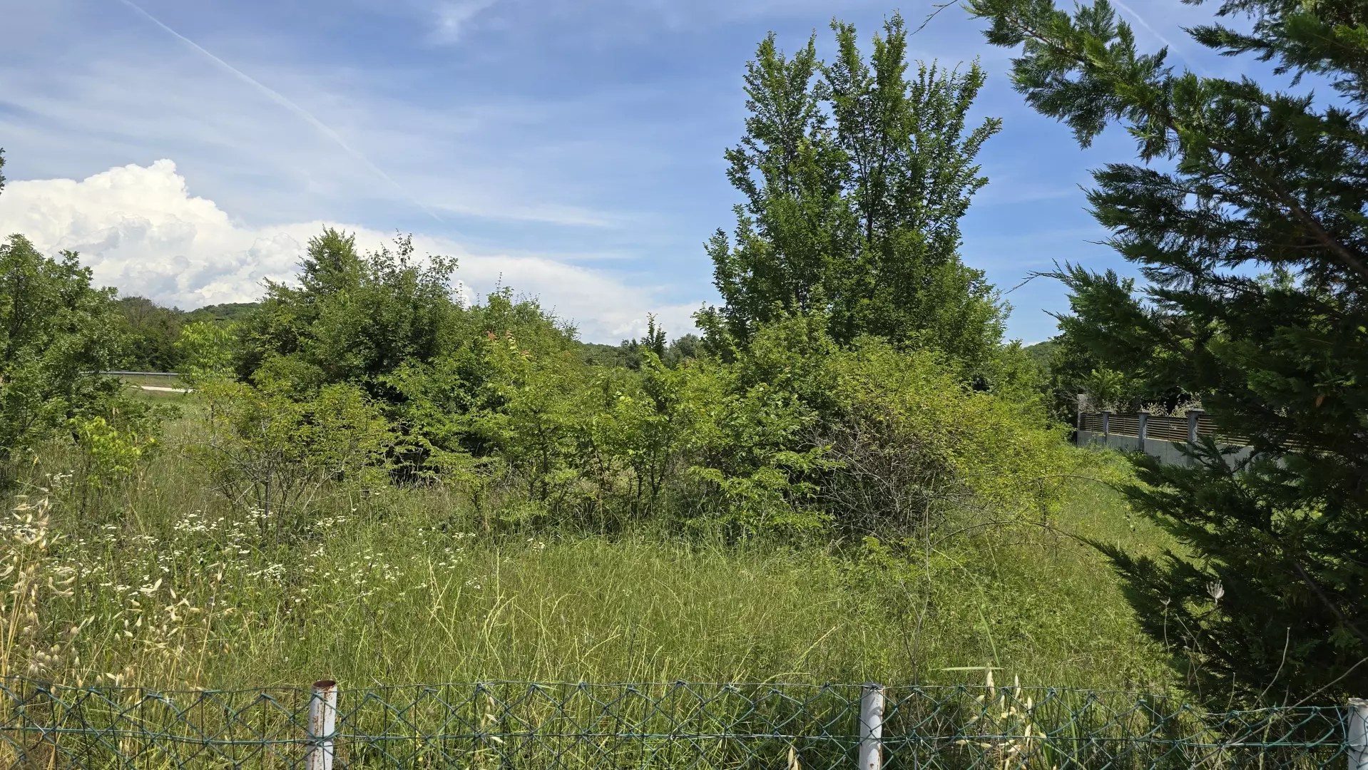 Land In Rovinjsko Selo, Croatia (1.340 M²)