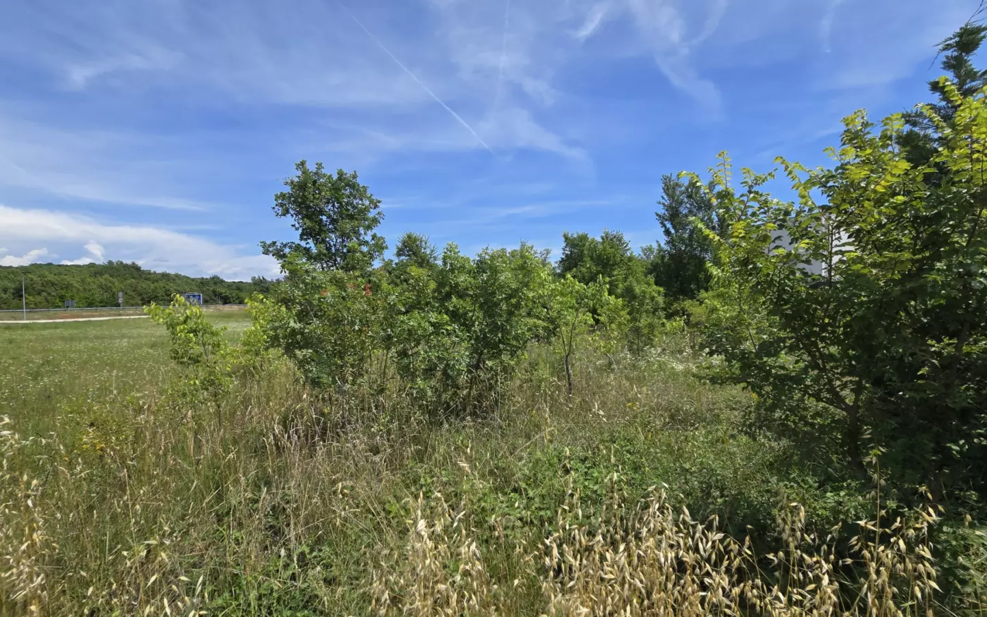Land In Rovinjsko Selo, Croatia (1.340 M²)
