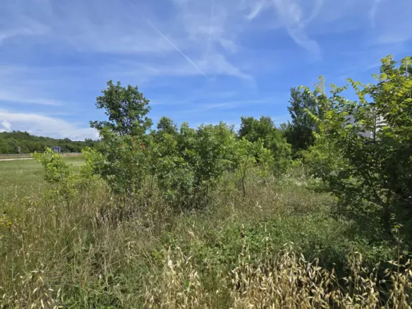 Land In Rovinjsko Selo, Croatia (1.340 M²)