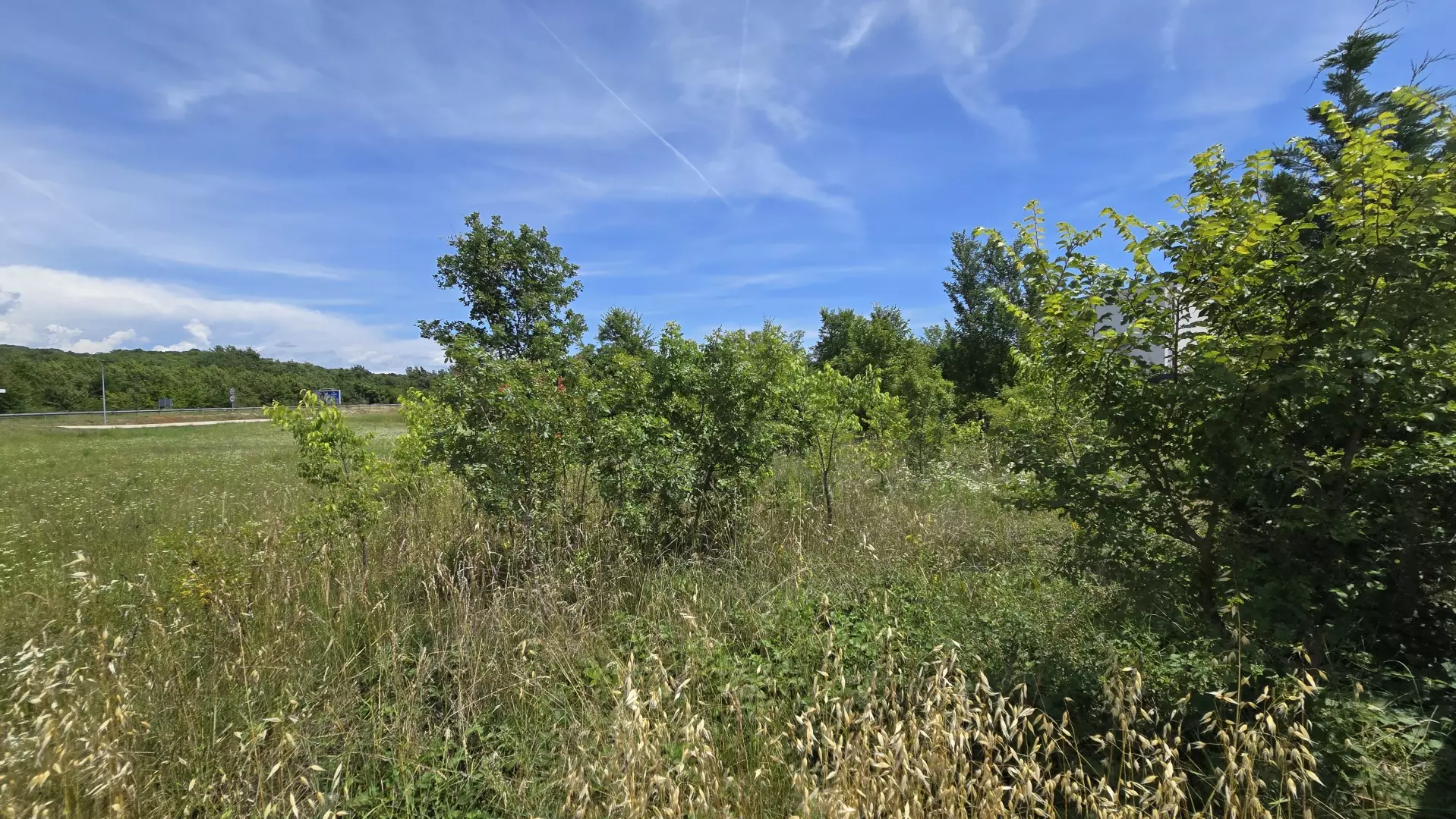 Land In Rovinjsko Selo, Croatia (1.340 M²)