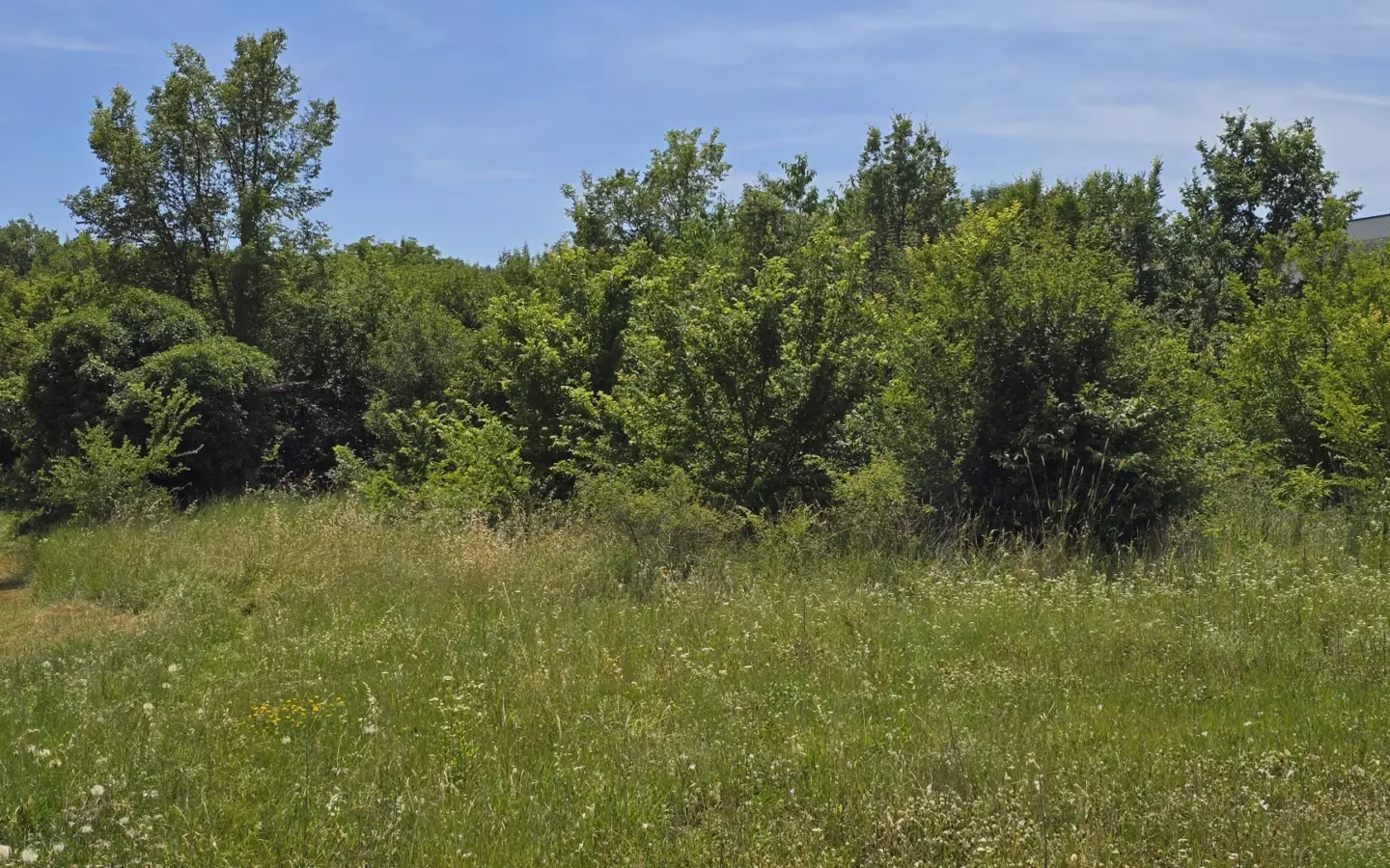 Land In Rovinjsko Selo, Croatia (1.340 M²)