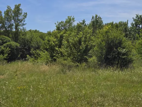 Land In Rovinjsko Selo, Croatia (1.340 M²)