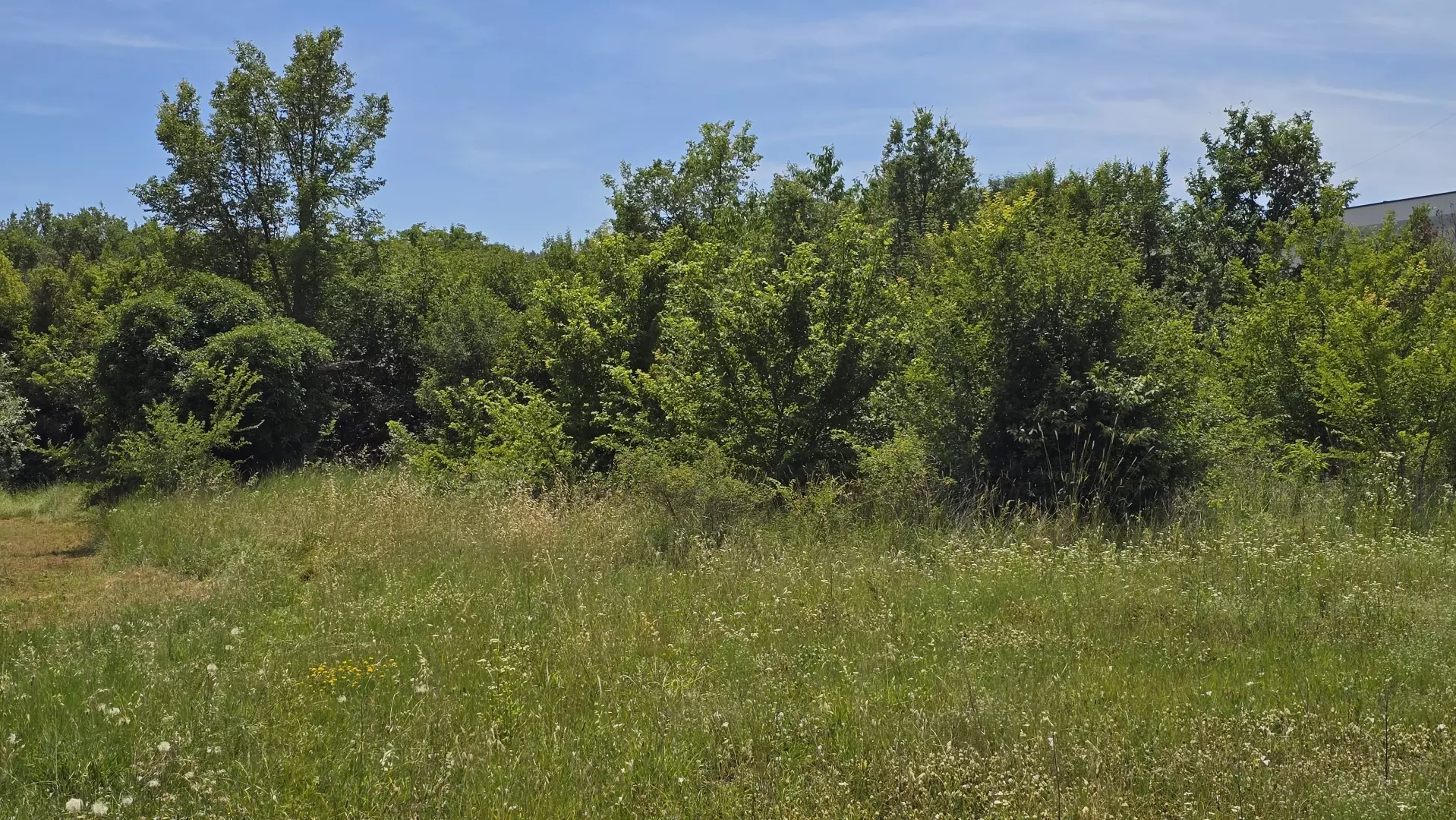 Land In Rovinjsko Selo, Croatia (1.340 M²)