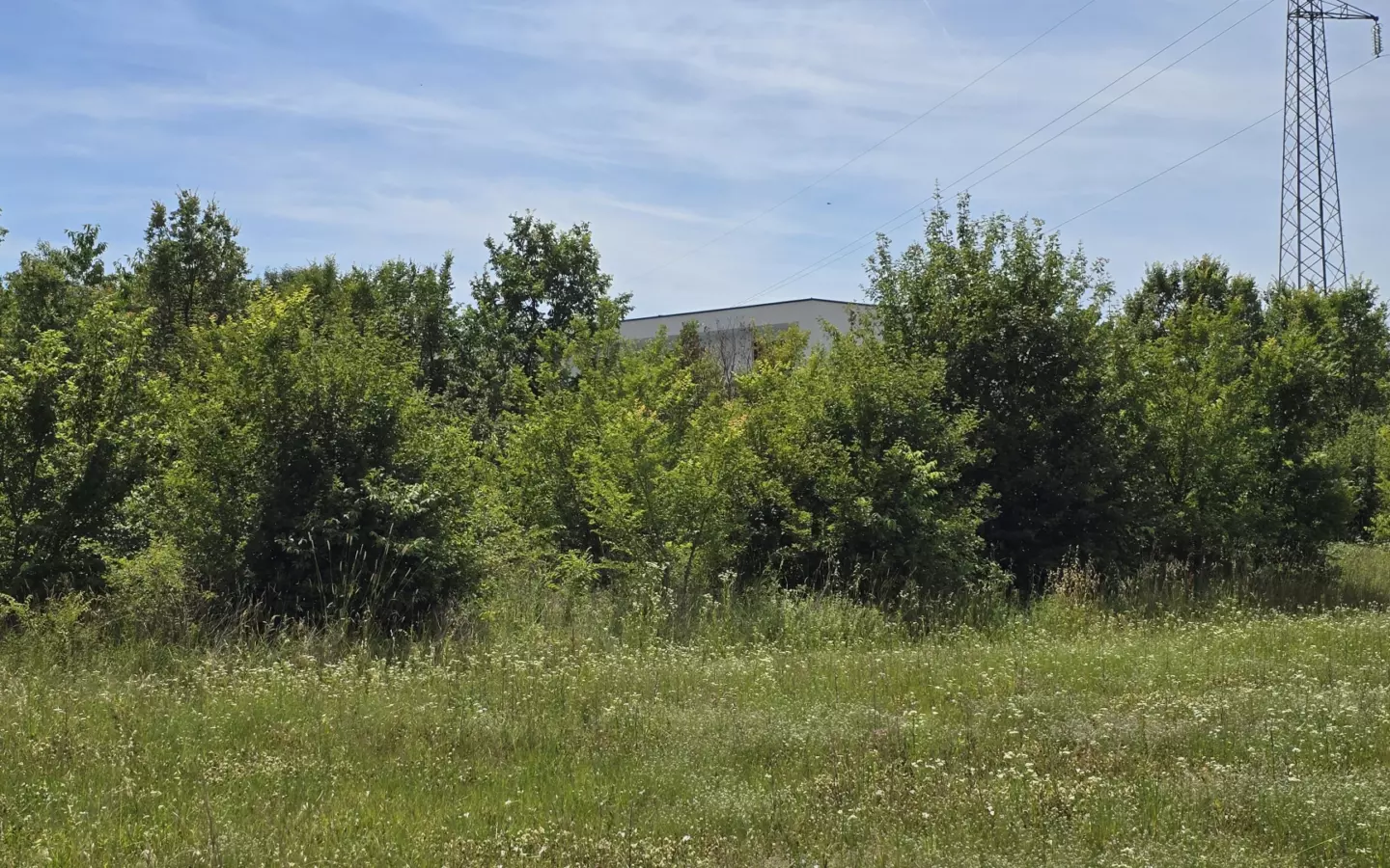 Land In Rovinjsko Selo, Croatia (1.340 M²)
