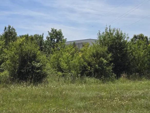 Land In Rovinjsko Selo, Croatia (1.340 M²)