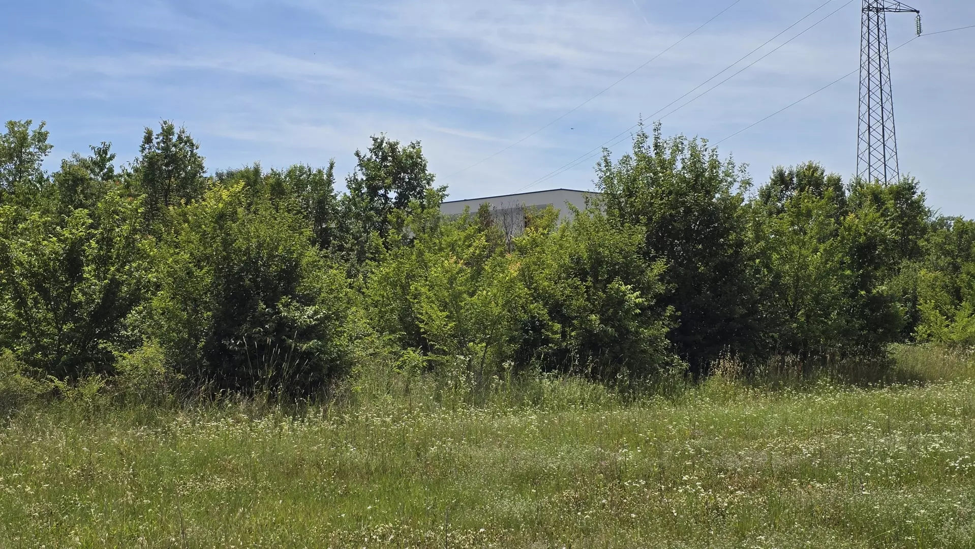 Land In Rovinjsko Selo, Croatia (1.340 M²)