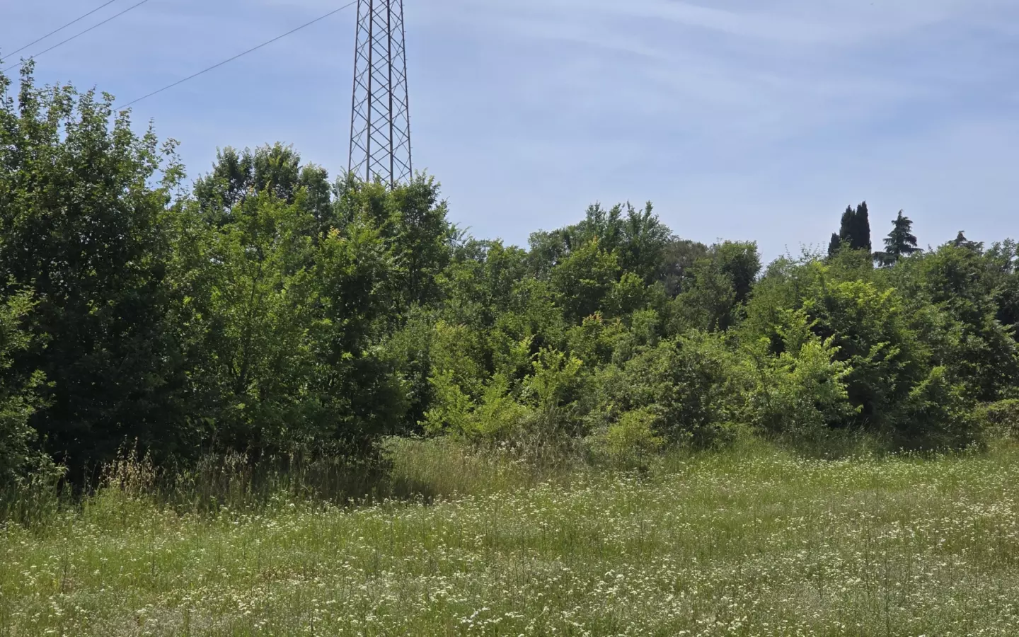 Land In Rovinjsko Selo, Croatia (1.340 M²)