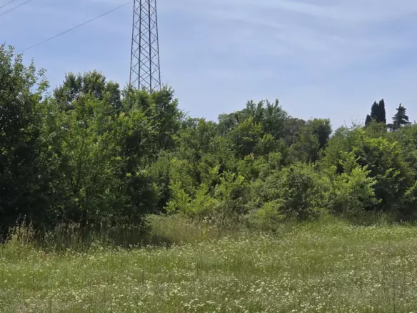 Land In Rovinjsko Selo, Croatia (1.340 M²)