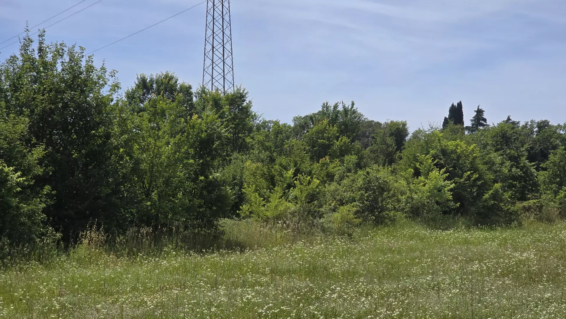 Land In Rovinjsko Selo, Croatia (1.340 M²)