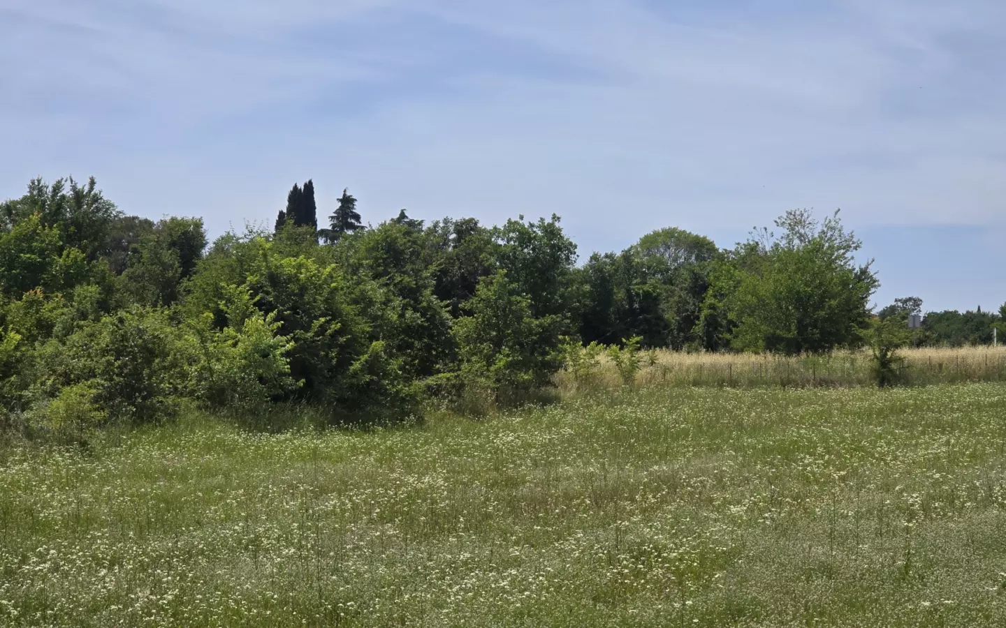 Land In Rovinjsko Selo, Croatia (1.340 M²)
