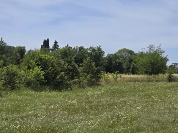 Land In Rovinjsko Selo, Croatia (1.340 M²)