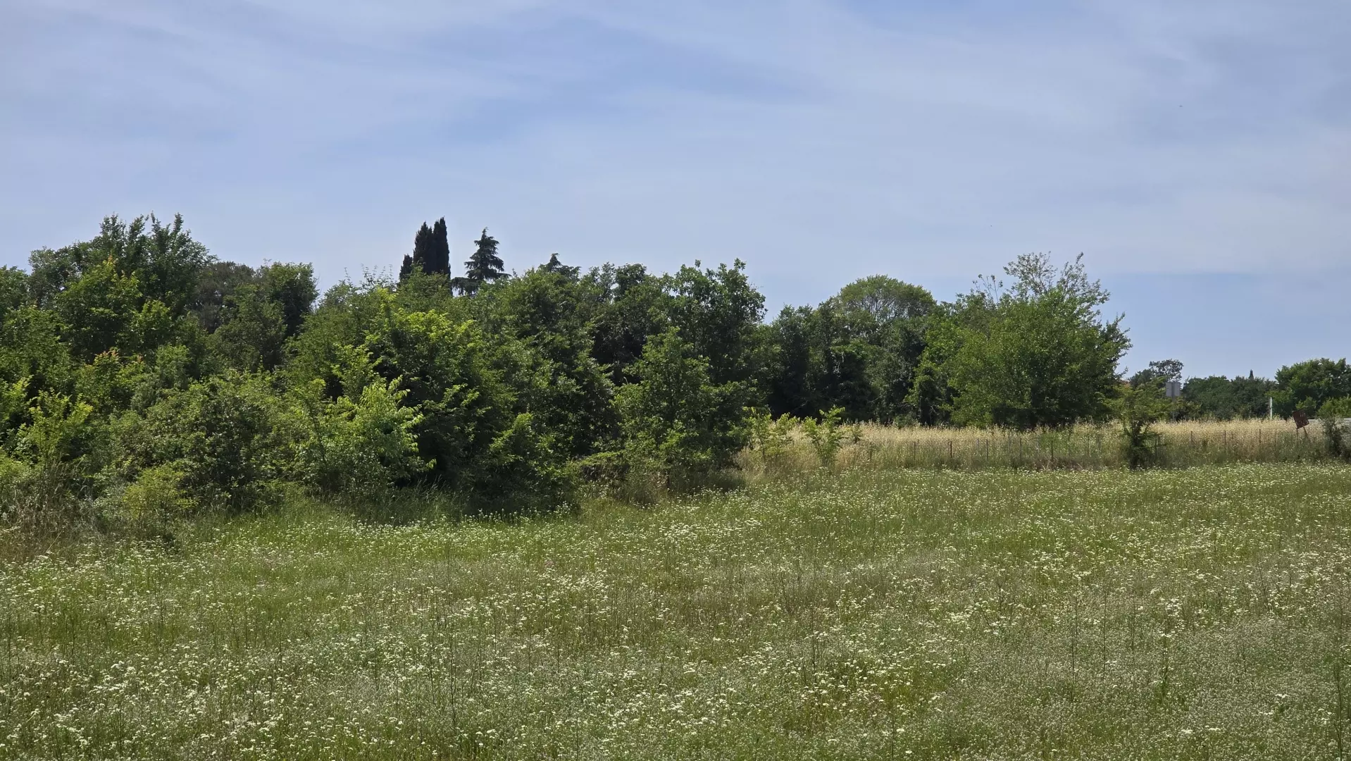 Land In Rovinjsko Selo, Croatia (1.340 M²)