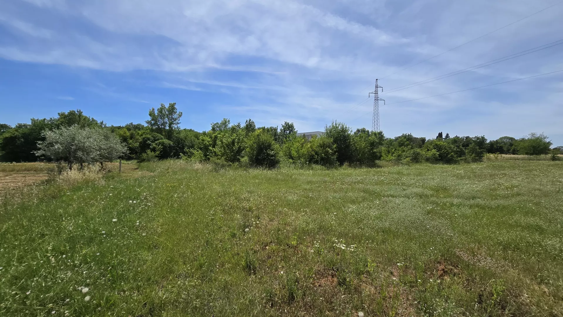 Land In Rovinjsko Selo, Croatia (1.340 M²)