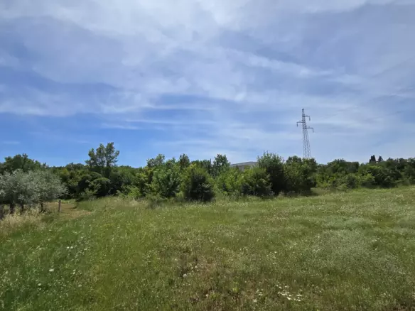 Land In Rovinjsko Selo, Croatia (1.340 M²)