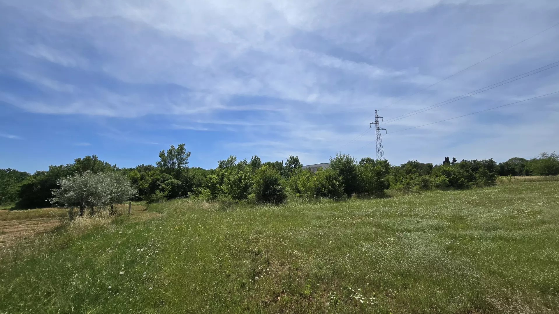 Land In Rovinjsko Selo, Croatia (1.340 M²)