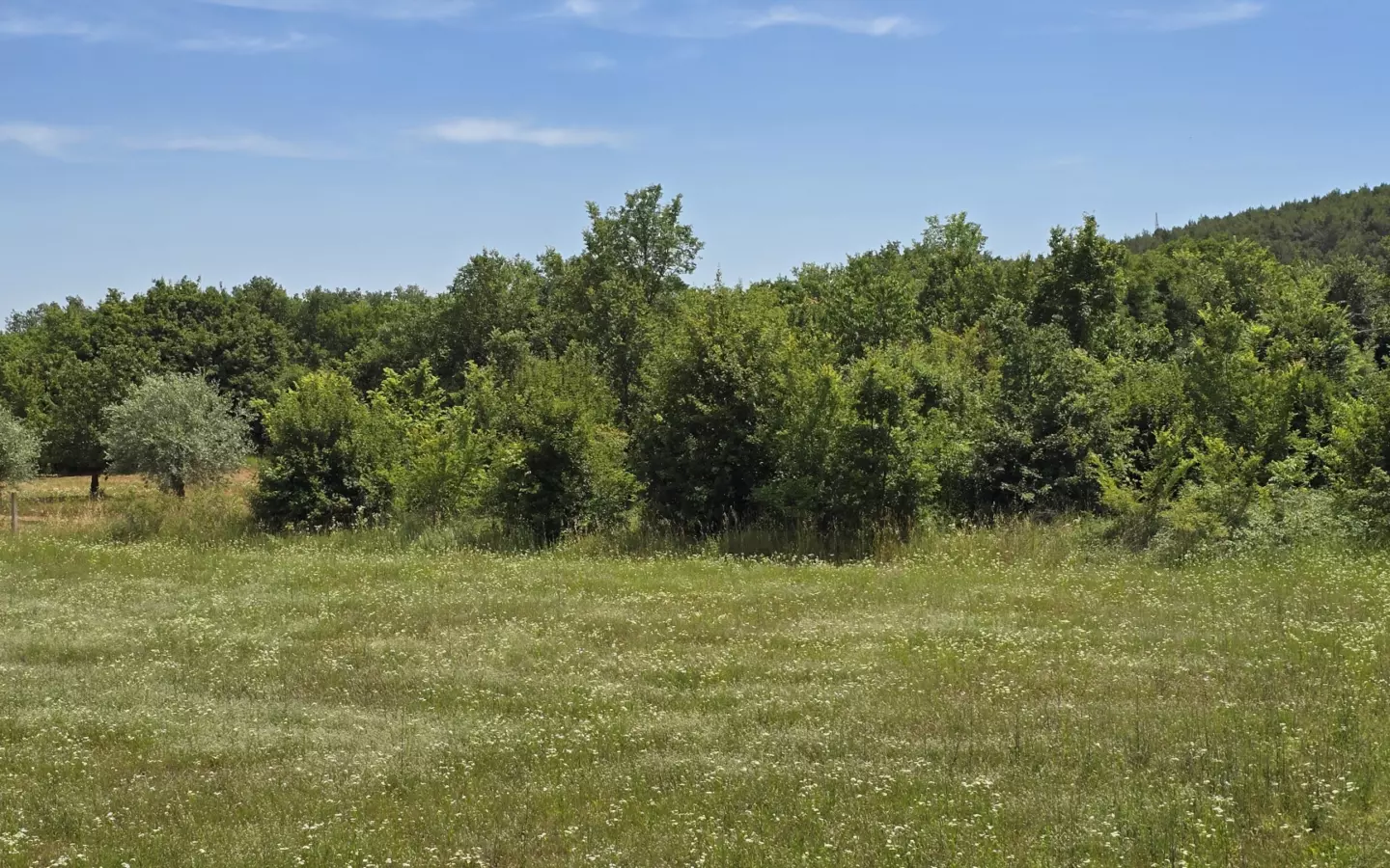 Land In Rovinjsko Selo, Croatia (1.340 M²)