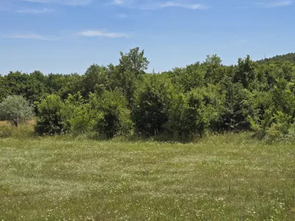 Land In Rovinjsko Selo, Croatia (1.340 M²)