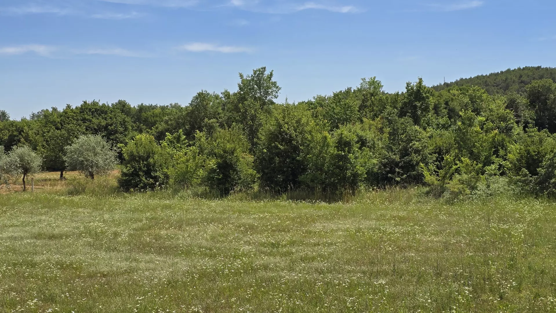 Land In Rovinjsko Selo, Croatia (1.340 M²)