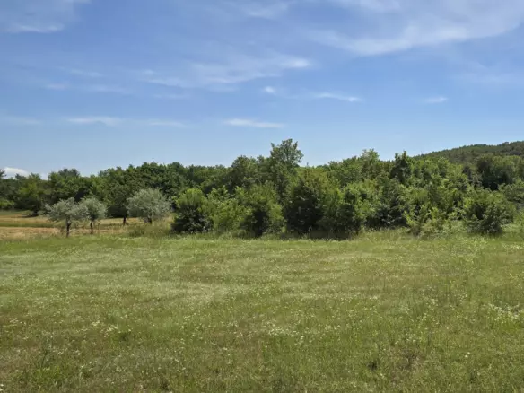 Land In Rovinjsko Selo, Croatia (1.340 M²)