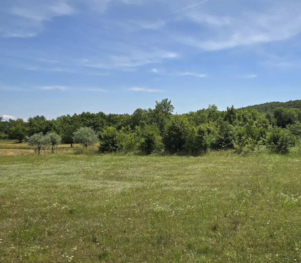 Land In Rovinjsko Selo, Croatia (1.340 M²)