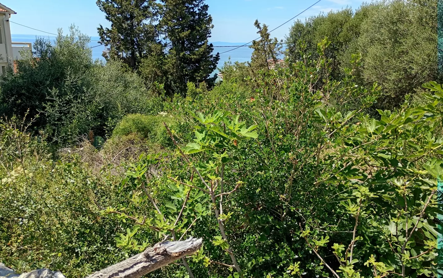 Land In Lun, Croatia (622 M²)