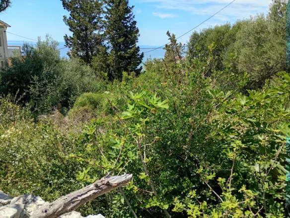 Land In Lun, Croatia (622 M²)