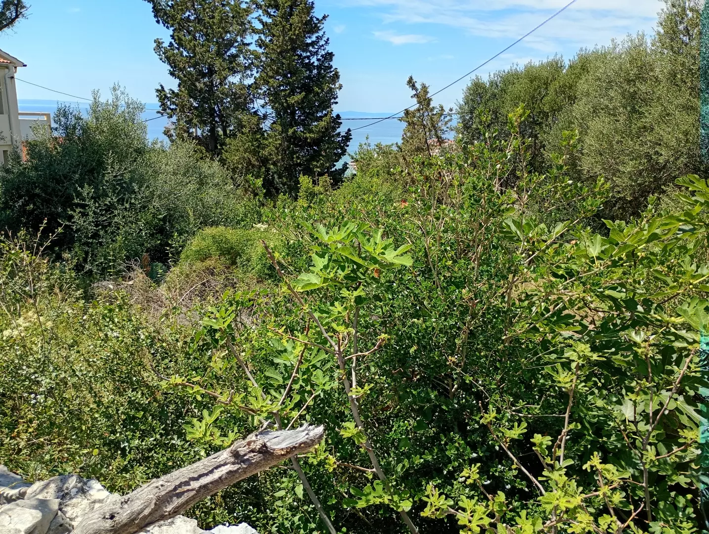 Land In Lun, Croatia (622 M²)