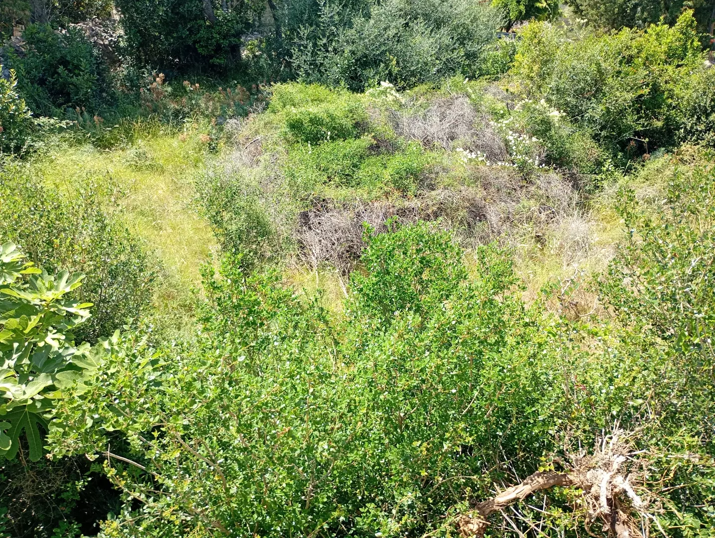 Land In Lun, Croatia (622 M²)
