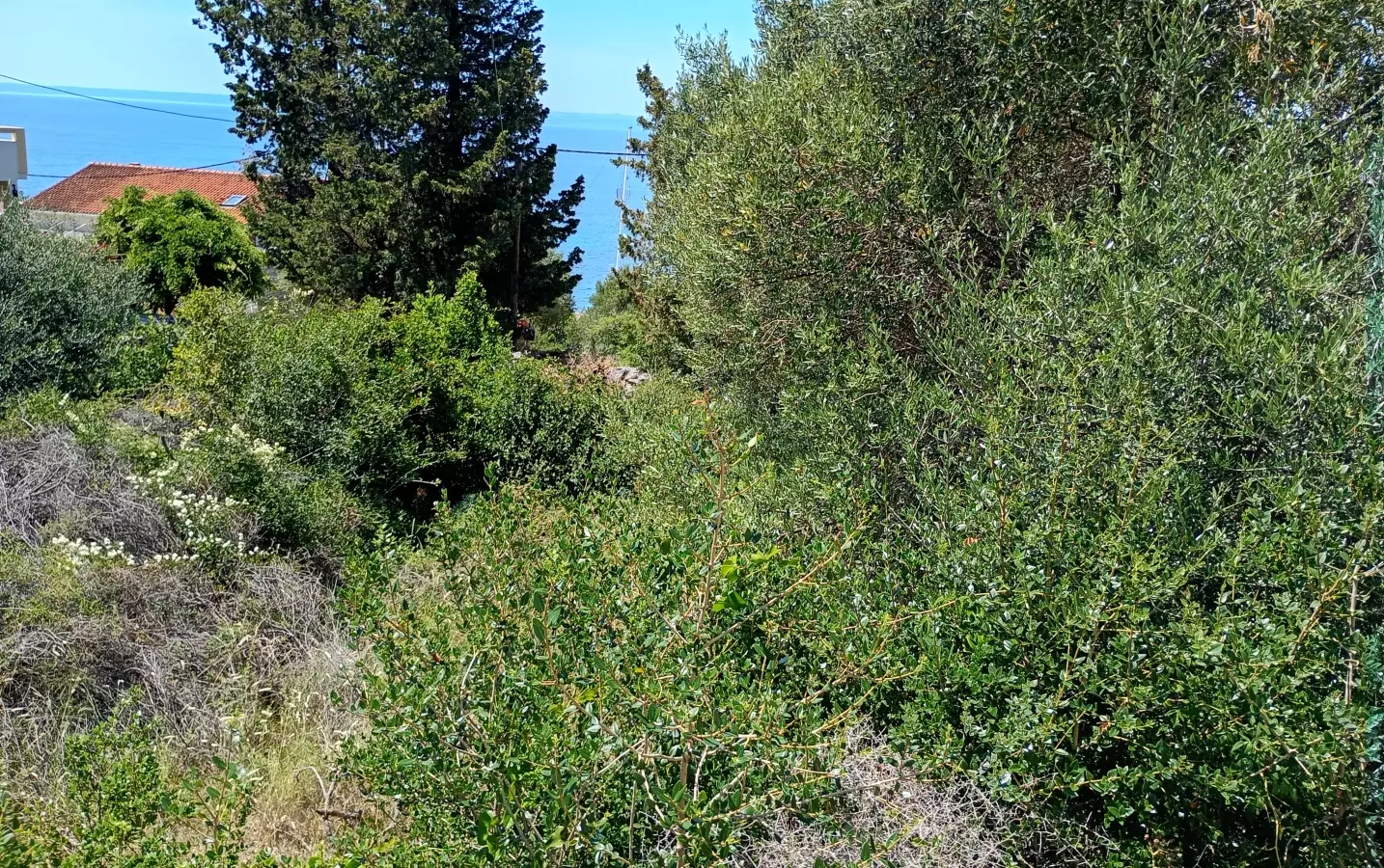 Land In Lun, Croatia (622 M²)