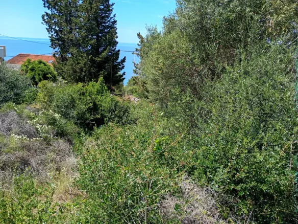 Land In Lun, Croatia (622 M²)