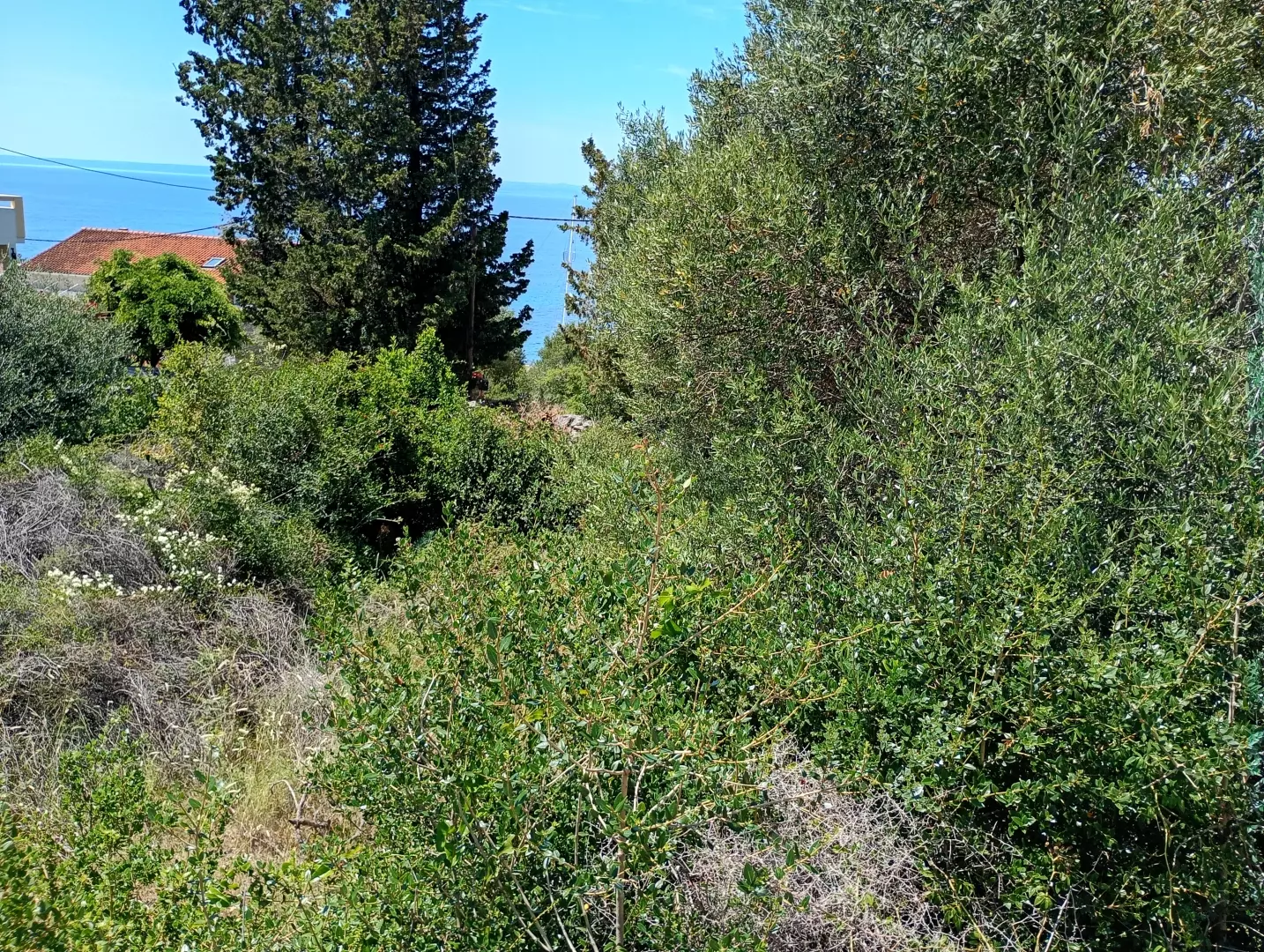 Land In Lun, Croatia (622 M²)