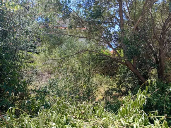 Land In Lun, Croatia (622 M²)