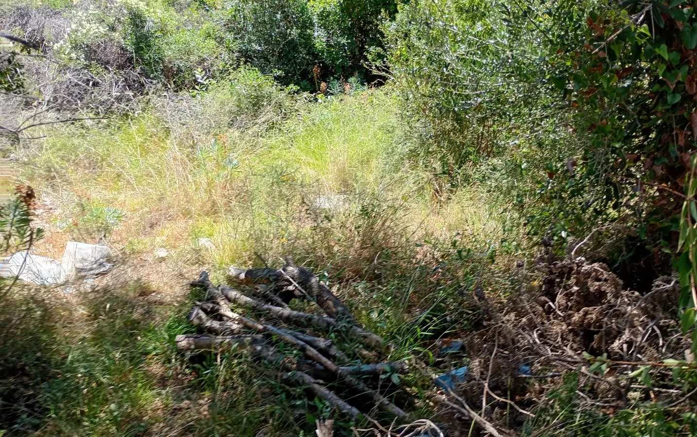 Land In Lun, Croatia (622 M²)