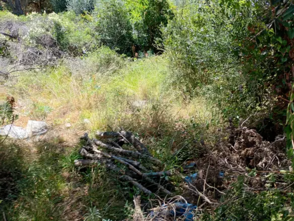 Land In Lun, Croatia (622 M²)
