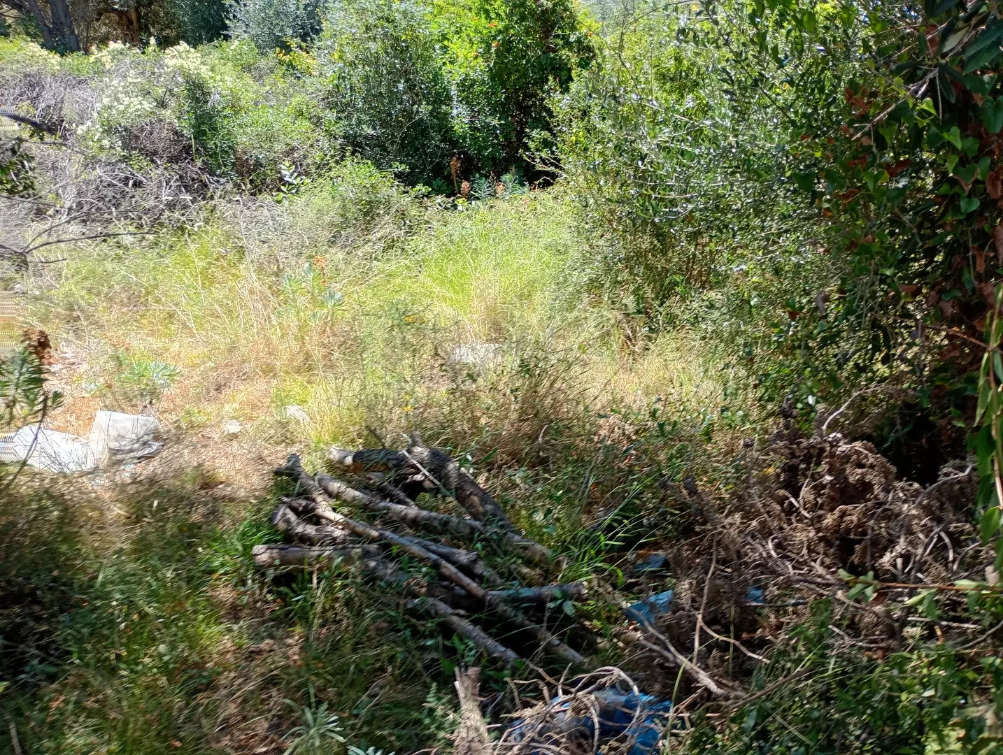 Land In Lun, Croatia (622 M²)