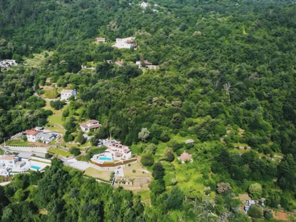 Land In Dobreć, Croatia (20.550 M²)