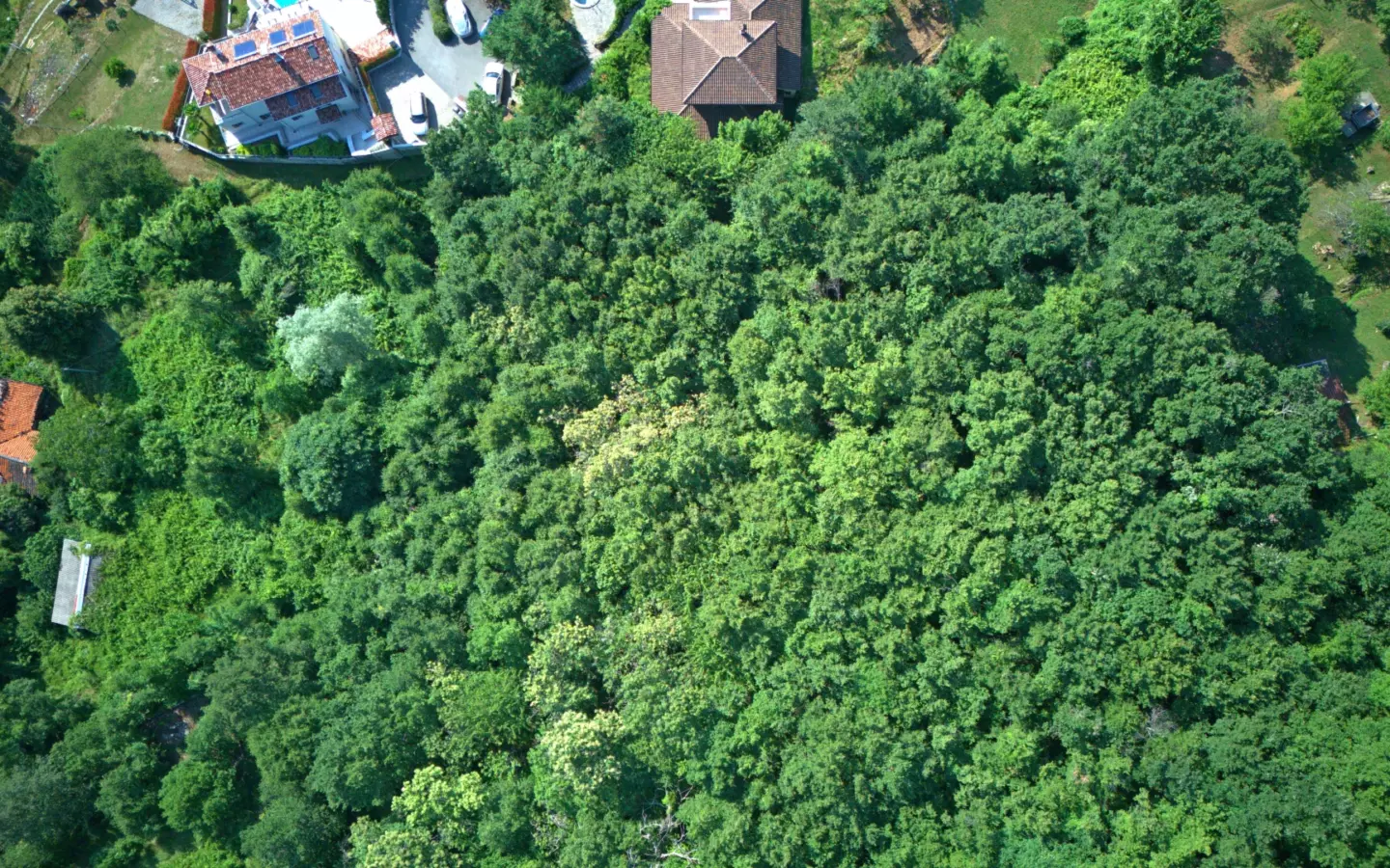 Land In Dobreć, Croatia (20.550 M²)